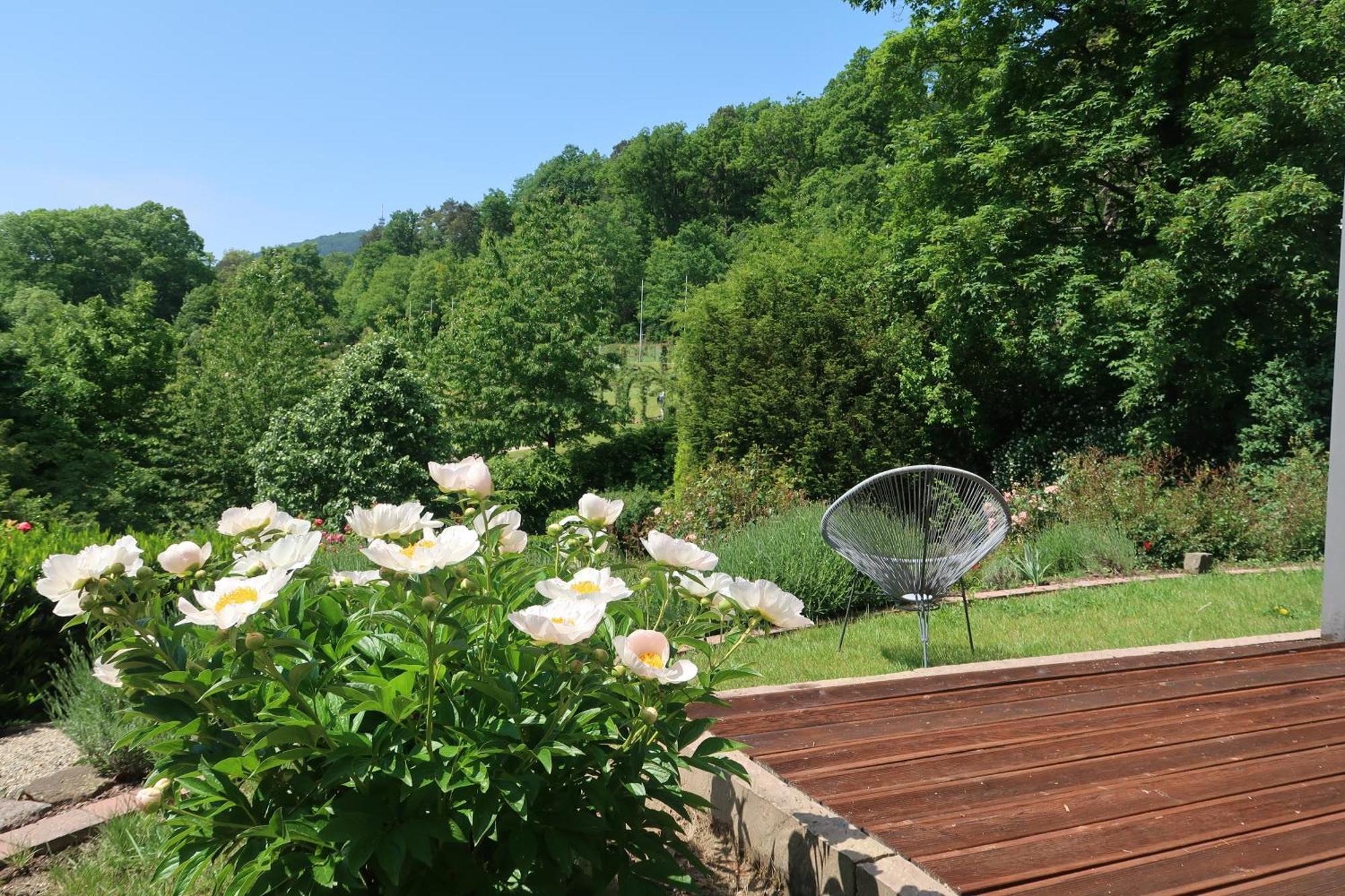 Apartment Im Rosentraum Mit Privater Terasse Baden-Baden Extérieur photo